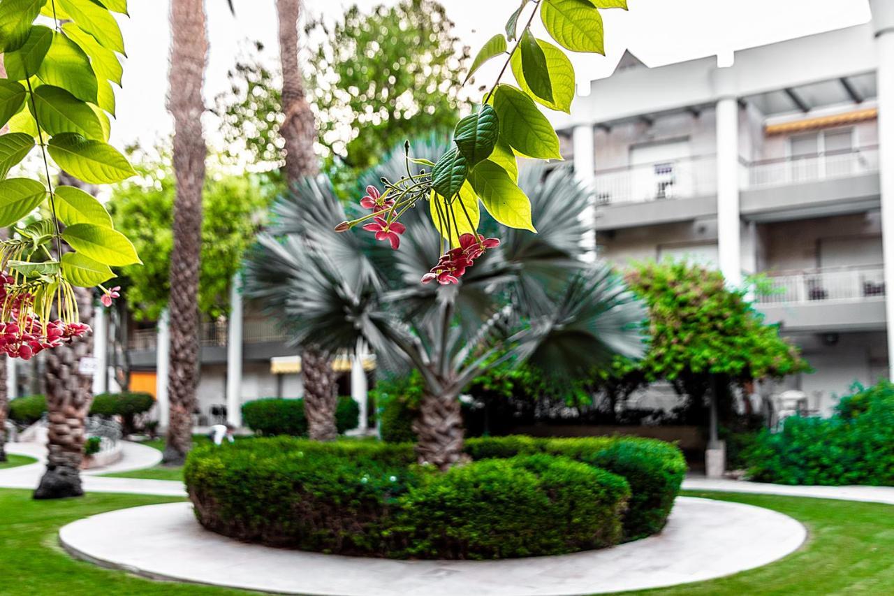 Апартаменты דירת גן פונה לבריכה - Pool Garden View Эйлат Экстерьер фото
